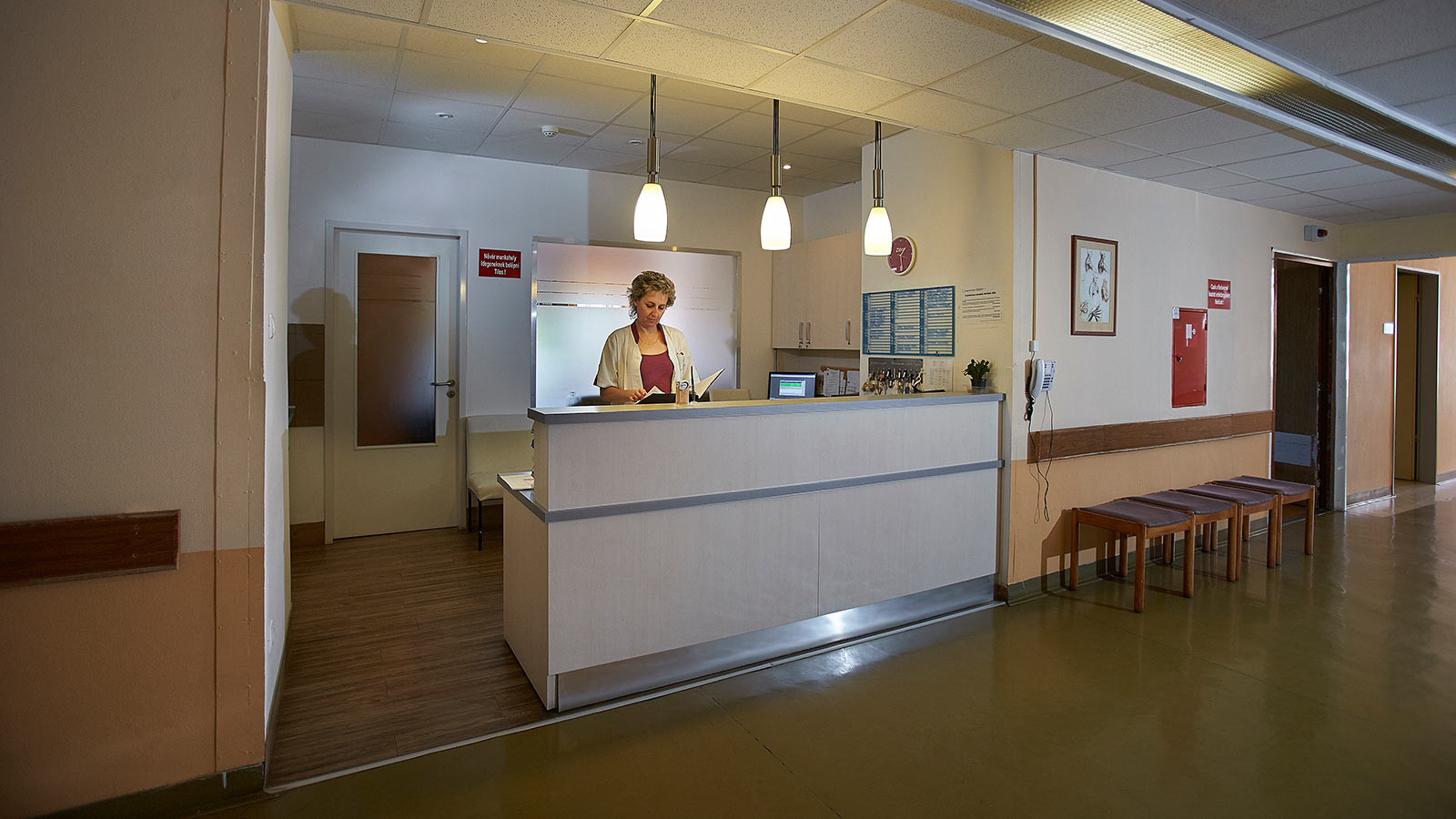 sebeszet es traumatologia recepcio